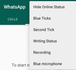 gb whatsapp features