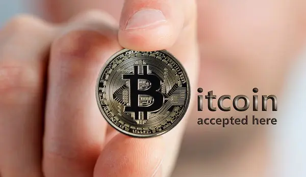 Bitcoin Wallet: What Works, Types, Setting Wallet